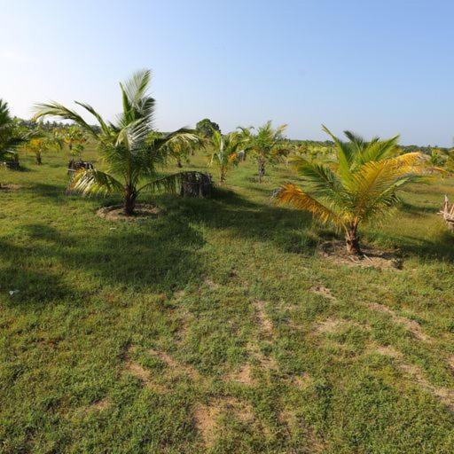 Hotel Kayjay Palms Passikudah Esterno foto